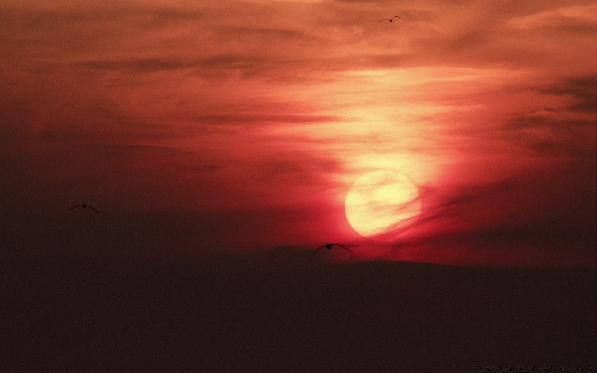 cielo tramonto sera alba crepuscolo sole silhouette illuminato paesaggio cielo luce