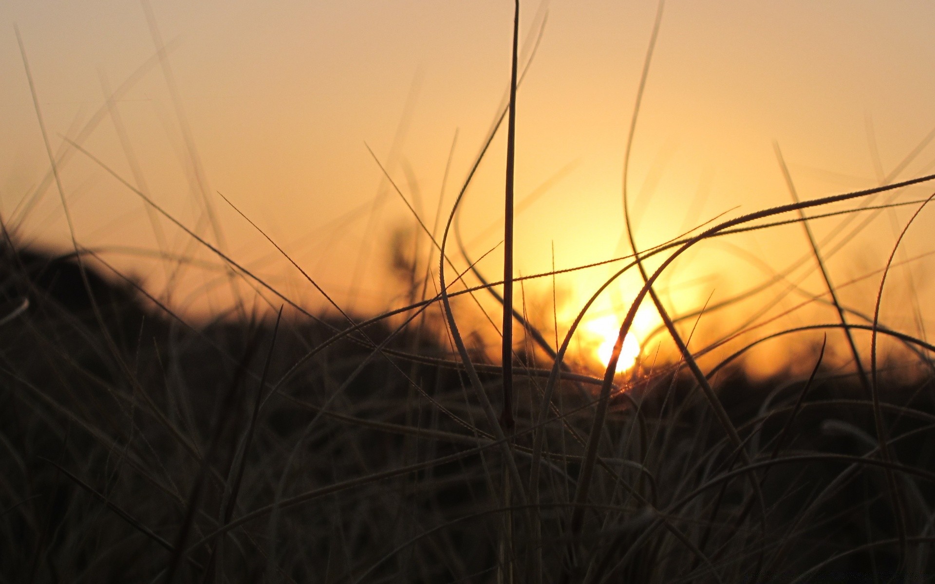 céu pôr do sol paisagem amanhecer sol ouro luz campo silhueta céu grama natureza noite anoitecer fazenda iluminado cor praia feno