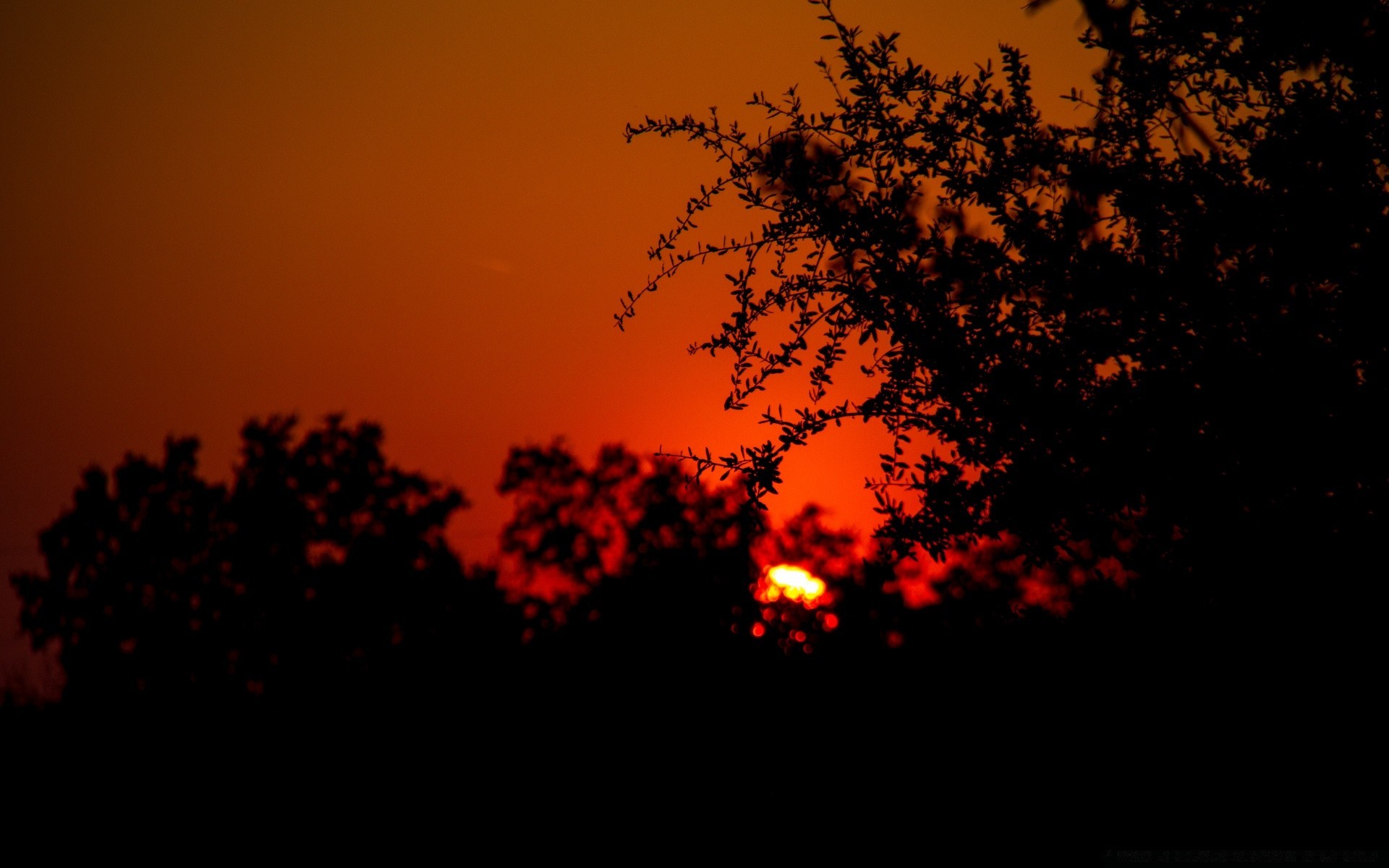 himmel silhouette sonnenuntergang hintergrundbeleuchtung abend baum dämmerung licht sonne dämmerung landschaft herbst himmel mond