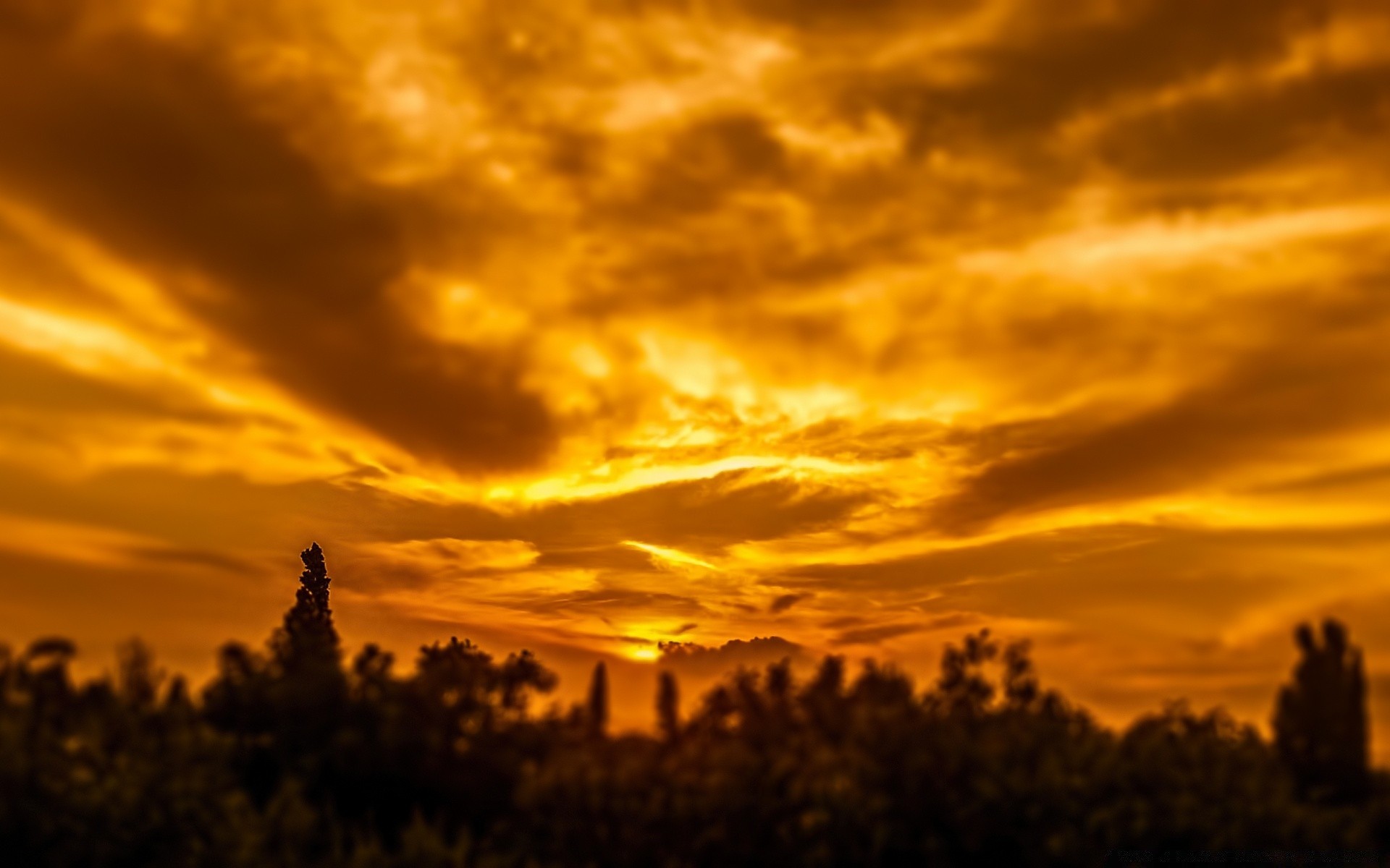 ciel coucher de soleil aube soir crépuscule soleil ciel en plein air rétro-éclairé nature paysage beau temps silhouette