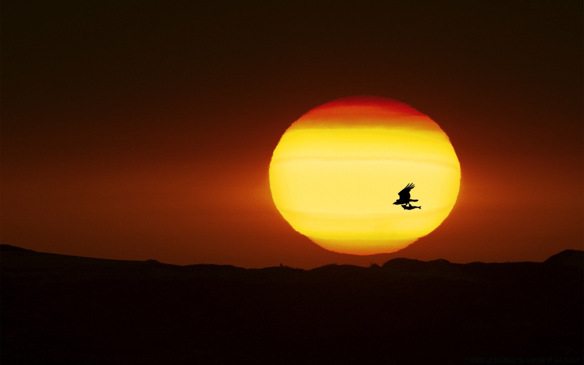 céu pôr do sol crepúsculo noite amanhecer sol lua céu viagens luz ao ar livre