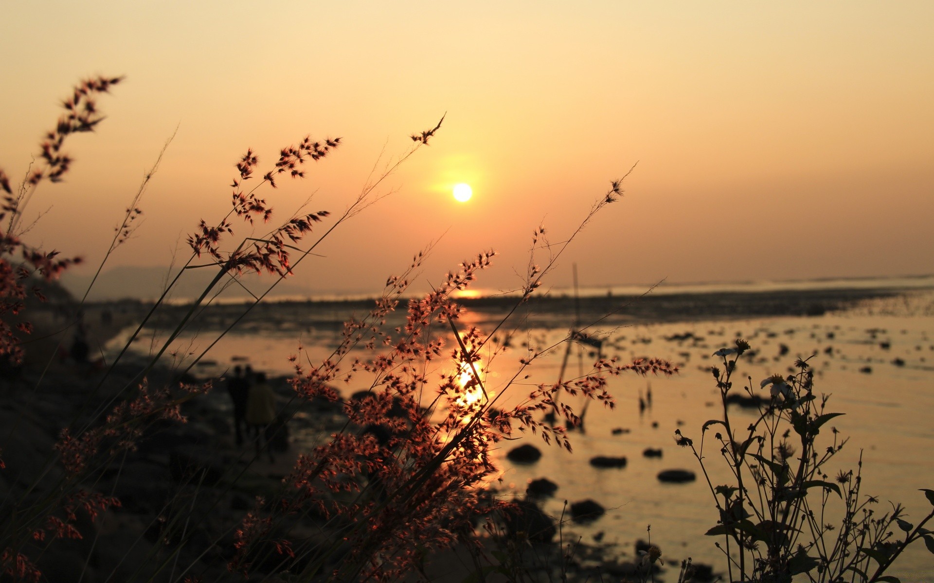 himmel sonnenuntergang strand wasser meer dämmerung sonne ozean natur landschaft himmel meer abend dämmerung sommer fischer gutes wetter