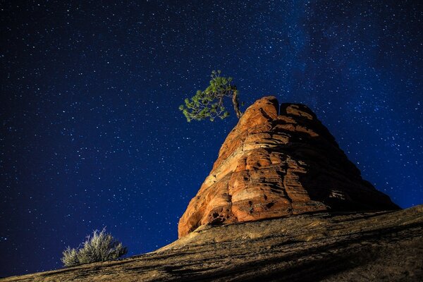 Beautiful blue sky with a large number of stars