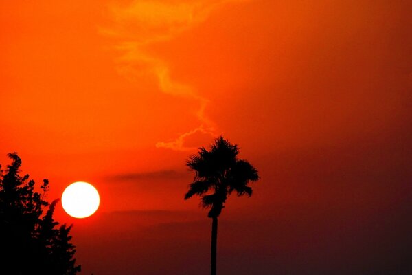 Silhouette der Sonne am Sonnenuntergang Himmel