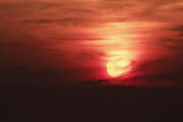 Der Himmel Sonnenuntergang am Abend ist schön dunkel