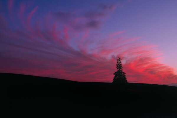 Pink sky at sunset