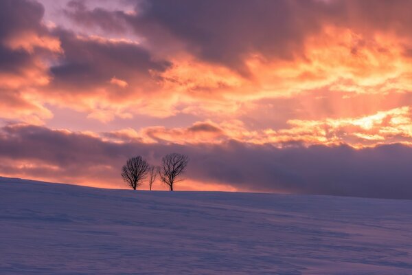 The colors of the sky in the evening at sunset