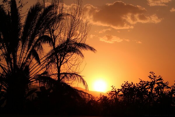 Silhouette der Sonne am Himmel in der Zeit von Zakpta