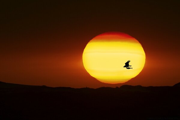 Goldener Sonnenkreis bei Sonnenuntergang