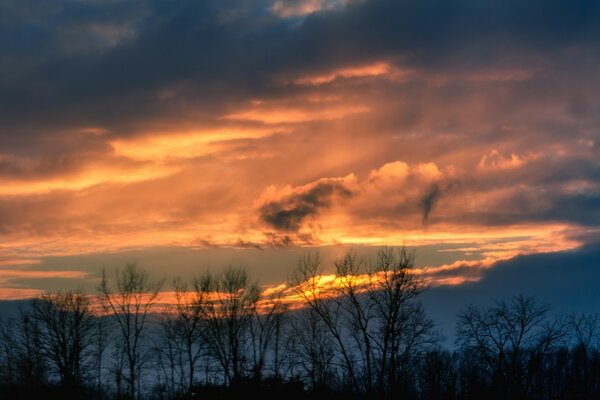 The sky at sunset nature