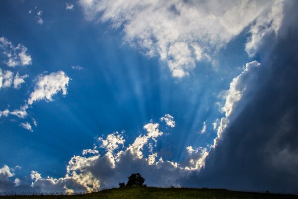 Céu azul e luz do sol