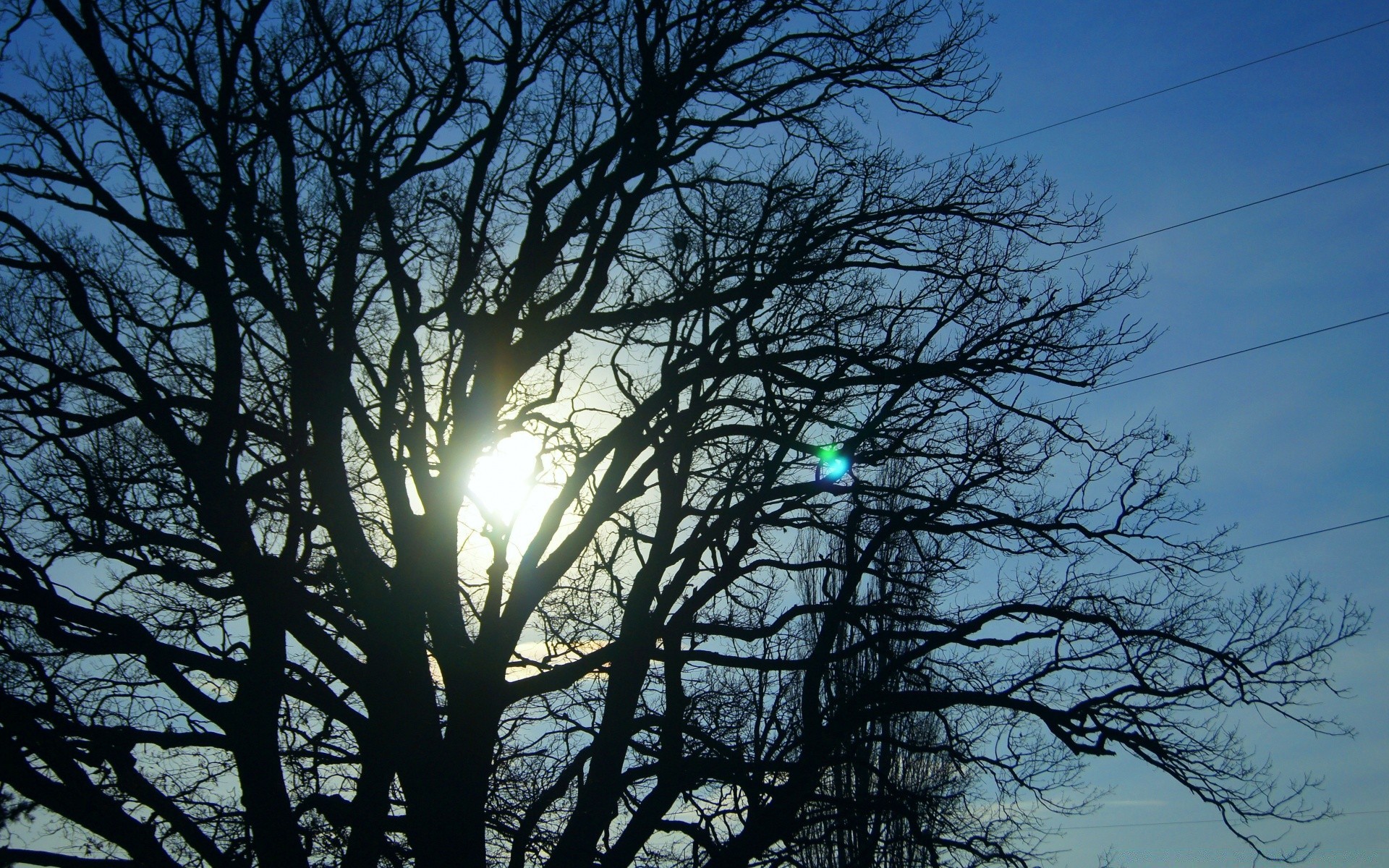 himmel baum landschaft holz zweig natur umwelt park gutes wetter sonne dämmerung blatt wetter herbst winter im freien jahreszeit himmel licht hoch