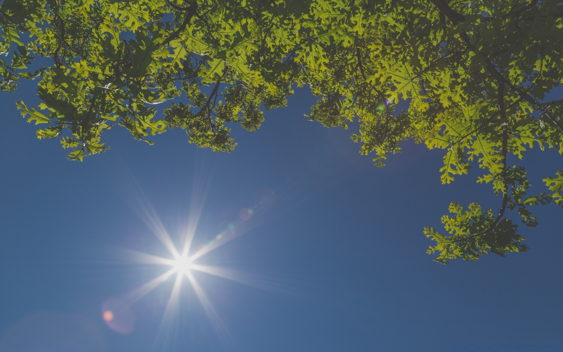 cielo naturaleza escritorio cielo sol buen tiempo al aire libre brillante luz luz del día