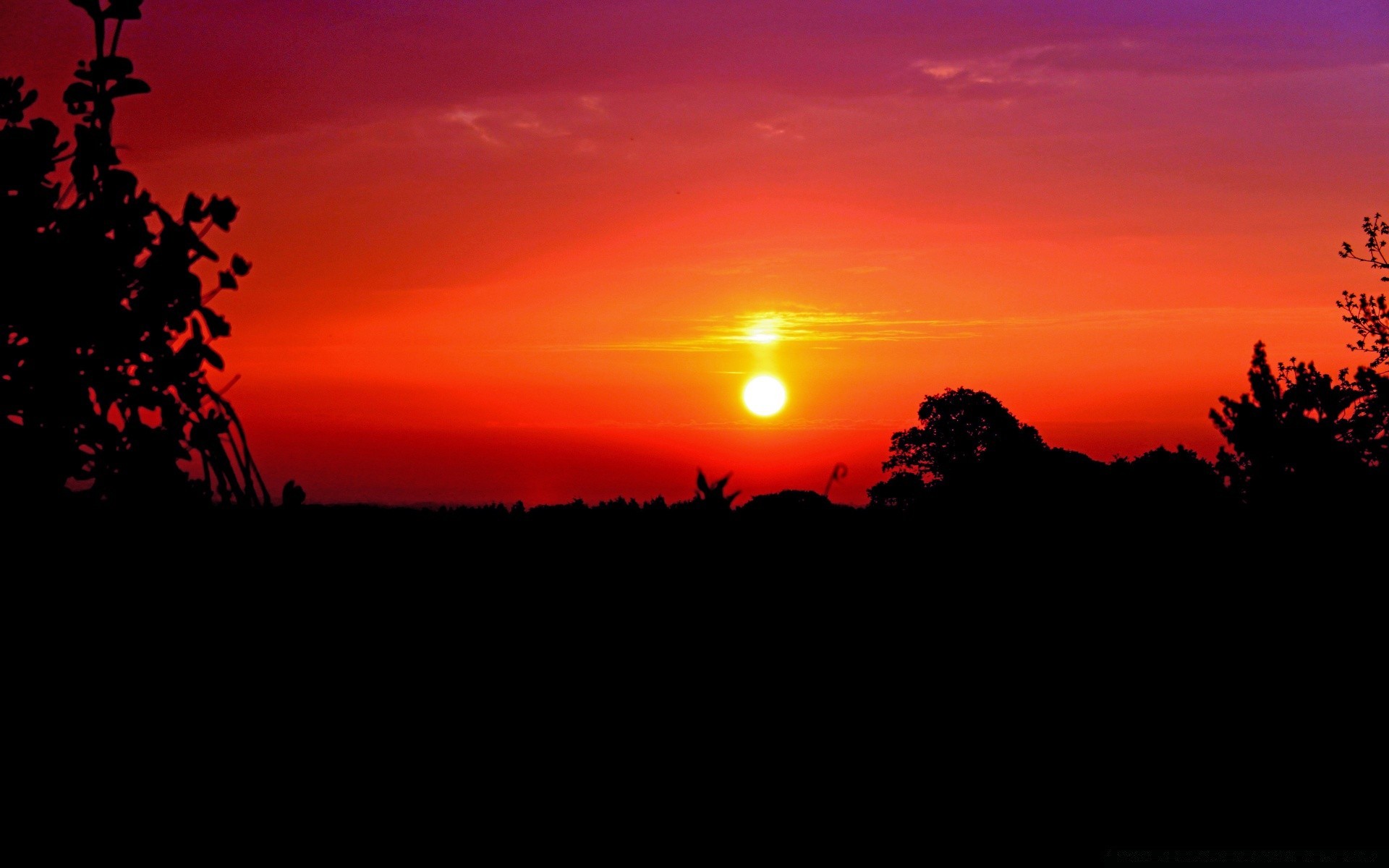 ciel coucher de soleil silhouette aube soleil soir crépuscule rétro-éclairé arbre paysage ciel nature lumière beau temps