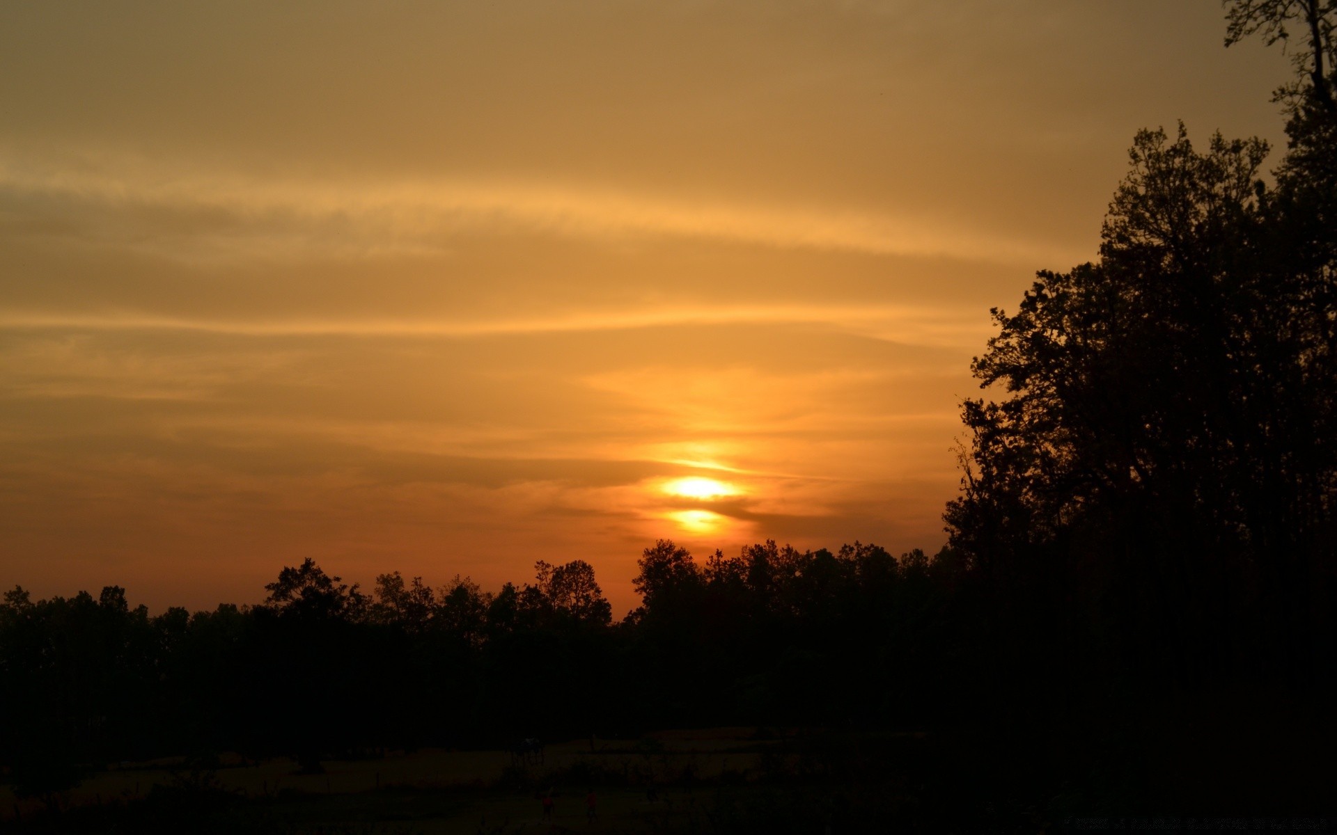 himmel sonnenuntergang dämmerung sonne abend dämmerung landschaft himmel natur nebel hintergrundbeleuchtung silhouette im freien gutes wetter baum licht