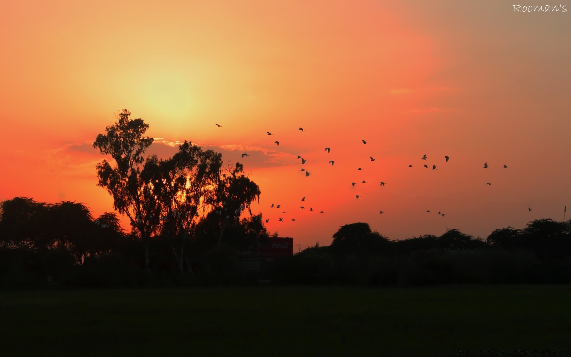 the sky sunset dawn nature landscape outdoors sun evening sky tree dusk fair weather fog summer grass silhouette countryside