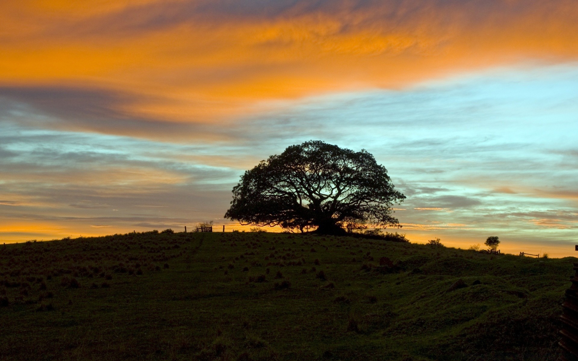 cielo puesta de sol paisaje amanecer noche cielo crepúsculo naturaleza sol al aire libre árbol hierba luz