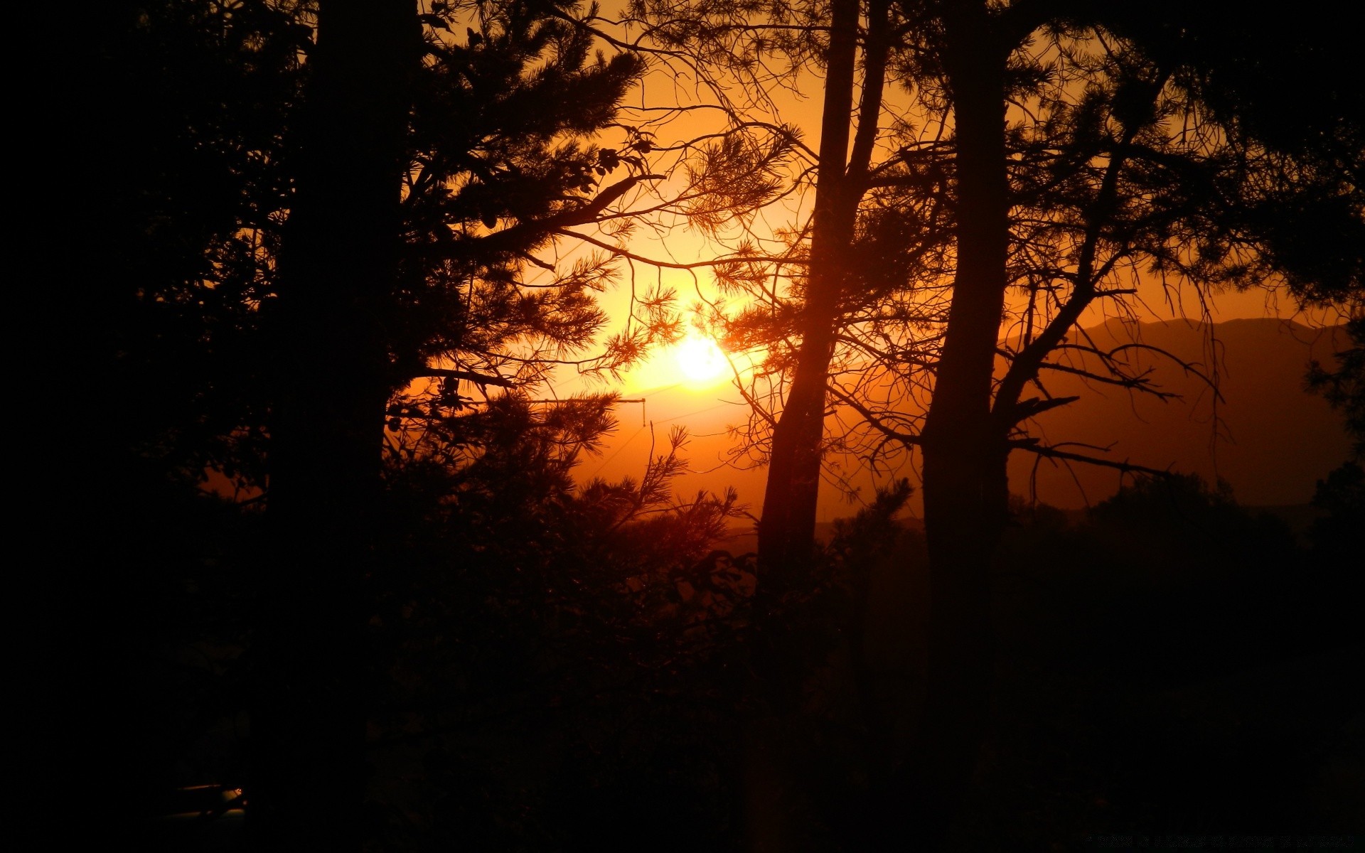 ciel arbre paysage lumière rétro-éclairé aube coucher de soleil silhouette automne soleil brouillard bois ombre soir parc sombre