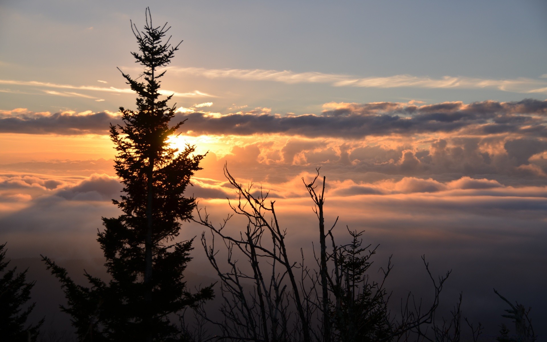 cielo tramonto alba albero natura all aperto cielo sole paesaggio sera nebbia crepuscolo inverno bel tempo silhouette