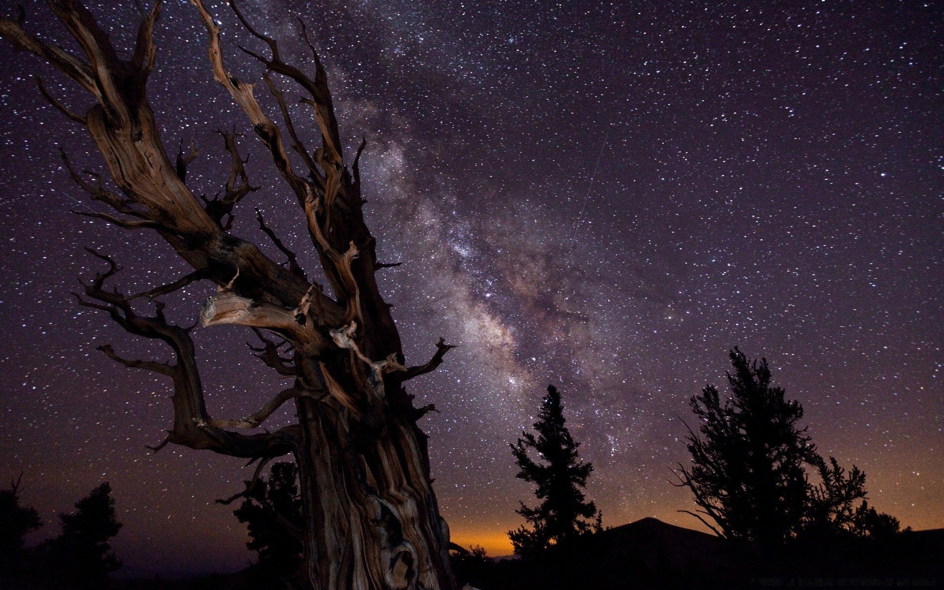 cielo luna árbol silueta luz cielo oscuro paisaje naturaleza invierno al aire libre astronomía puesta de sol noche espeluznante crepúsculo amanecer sol desastre