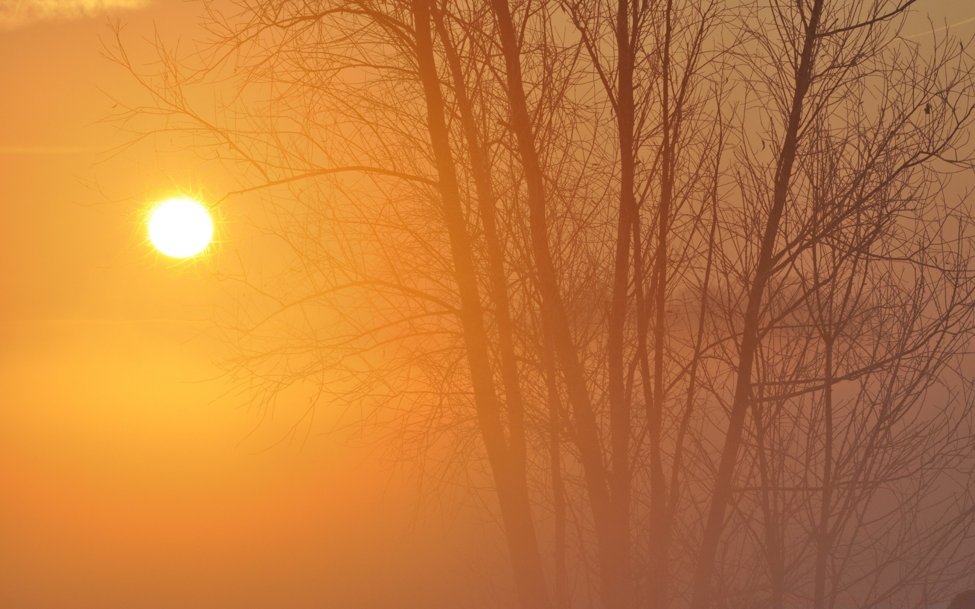 the sky sunset dawn landscape sun abstract silhouette color nature weather evening desktop tree light fog