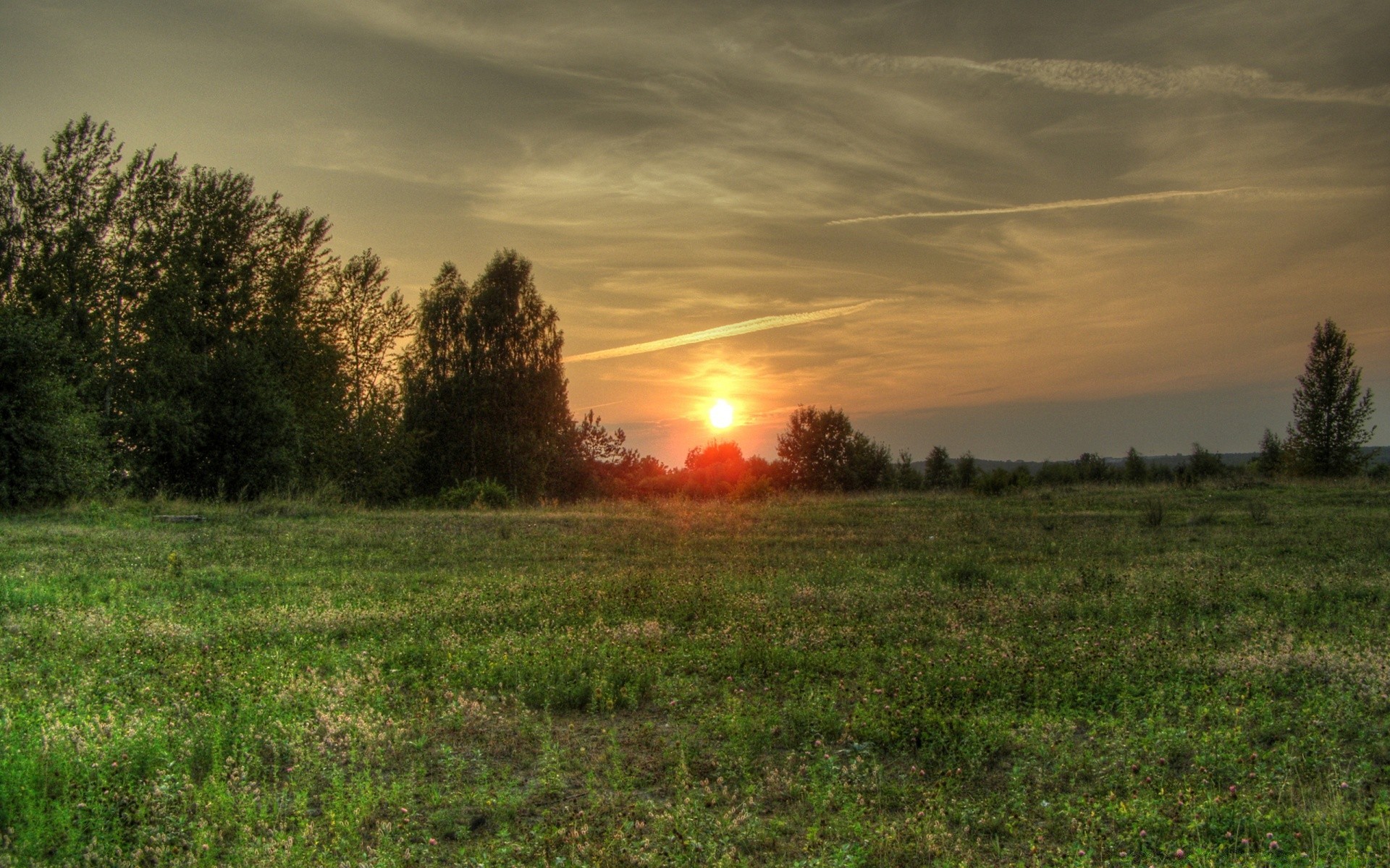 the sky landscape sunset dawn sun tree nature grass field evening fair weather light sky hayfield rural countryside farm summer