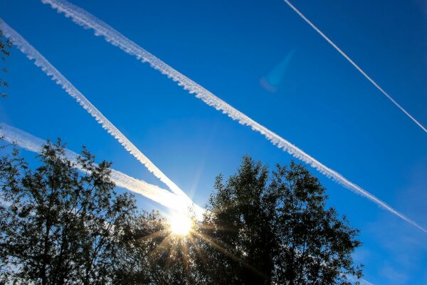 Lots of airplane tracks in the sky