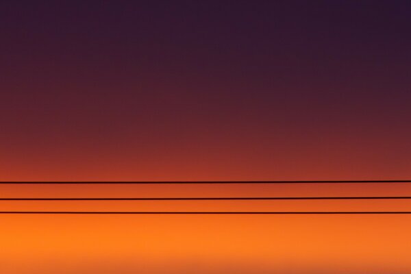 Cables en el fondo del cielo al atardecer