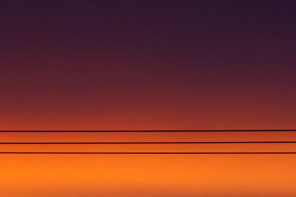 日落天空背景上的电线