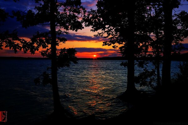 Sagome scure di alberi vicino all acqua contro il sole rosso al tramonto