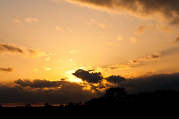 Bright yellow dawn of nature