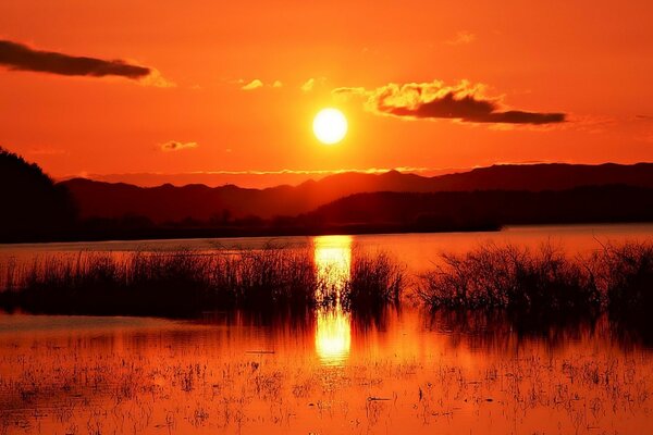 Sunset over pond and field