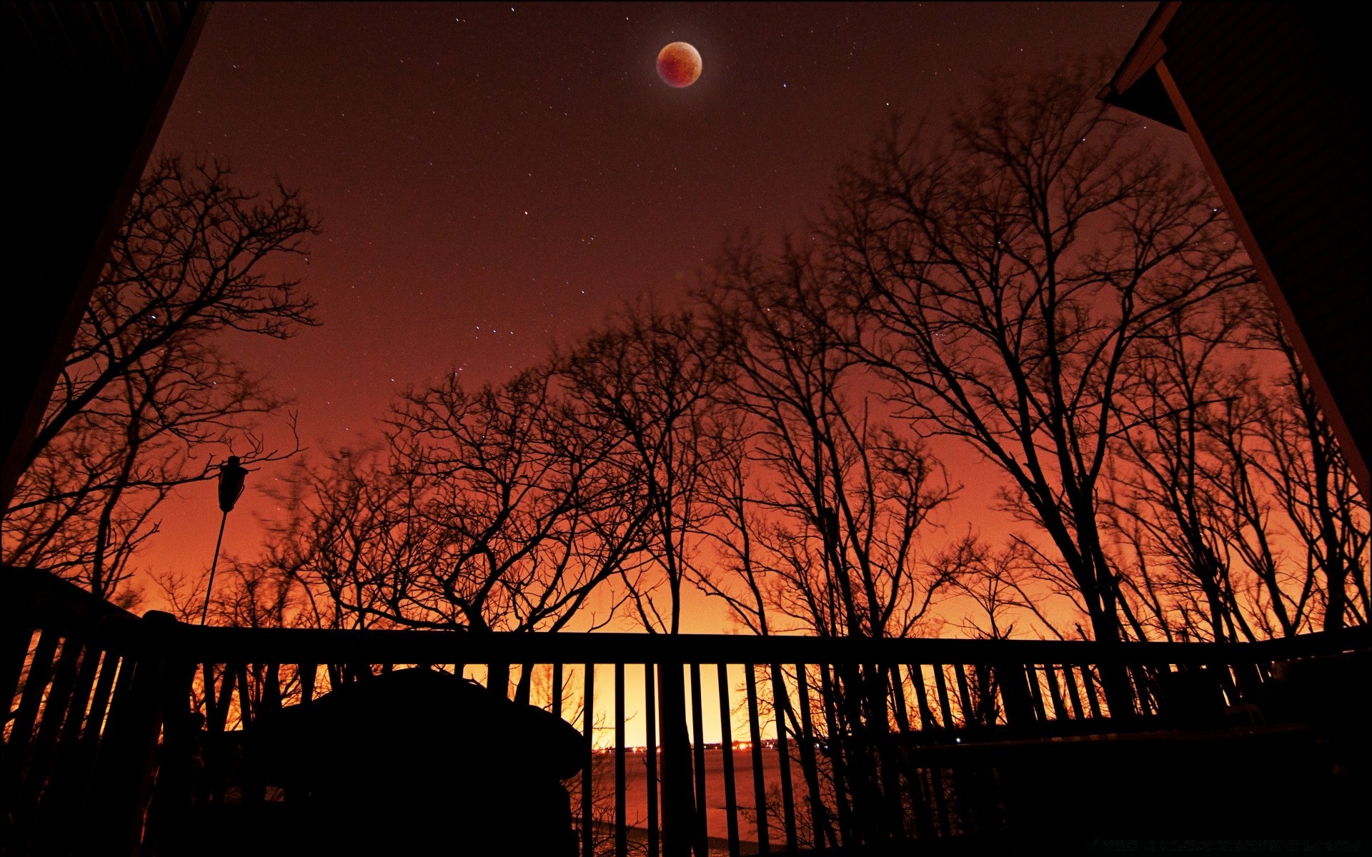 the sky sunset dawn evening moon silhouette light landscape dusk tree sky sun backlit water reflection wood winter lake