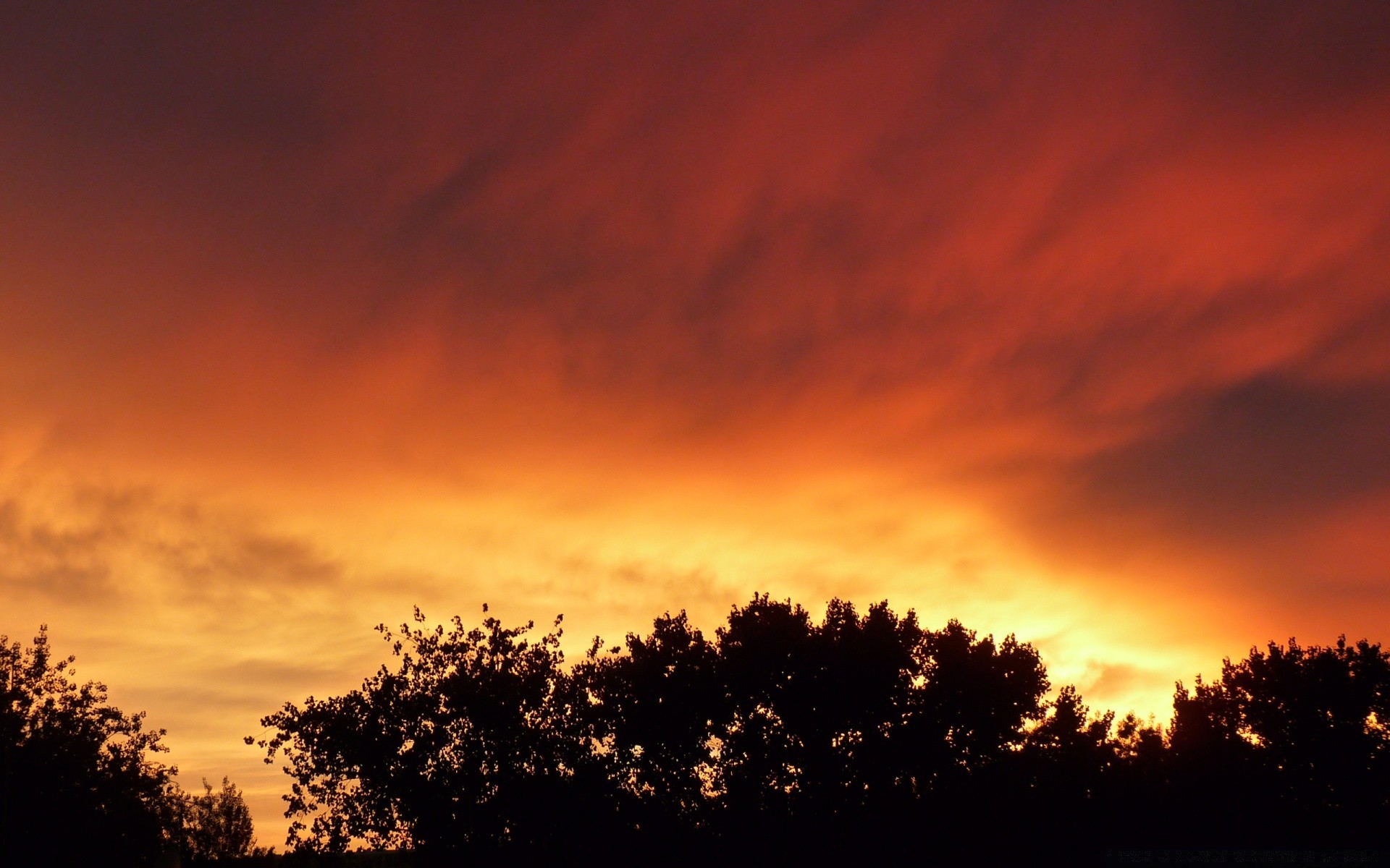 the sky sunset dawn evening sun dusk sky silhouette nature landscape outdoors backlit fair weather