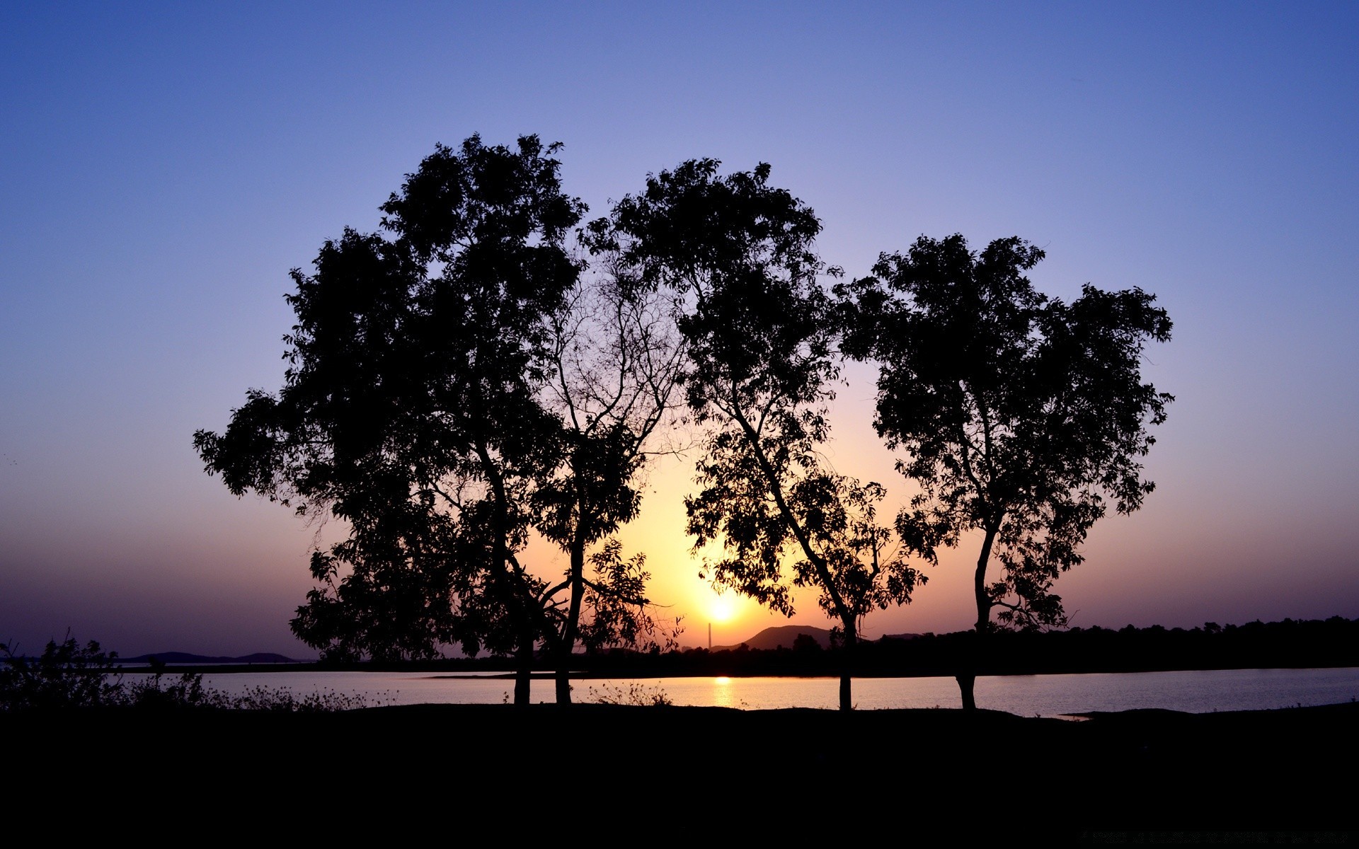 the sky dawn sun sunset tree landscape nature backlit silhouette sky summer evening fair weather dusk outdoors light fog water mist