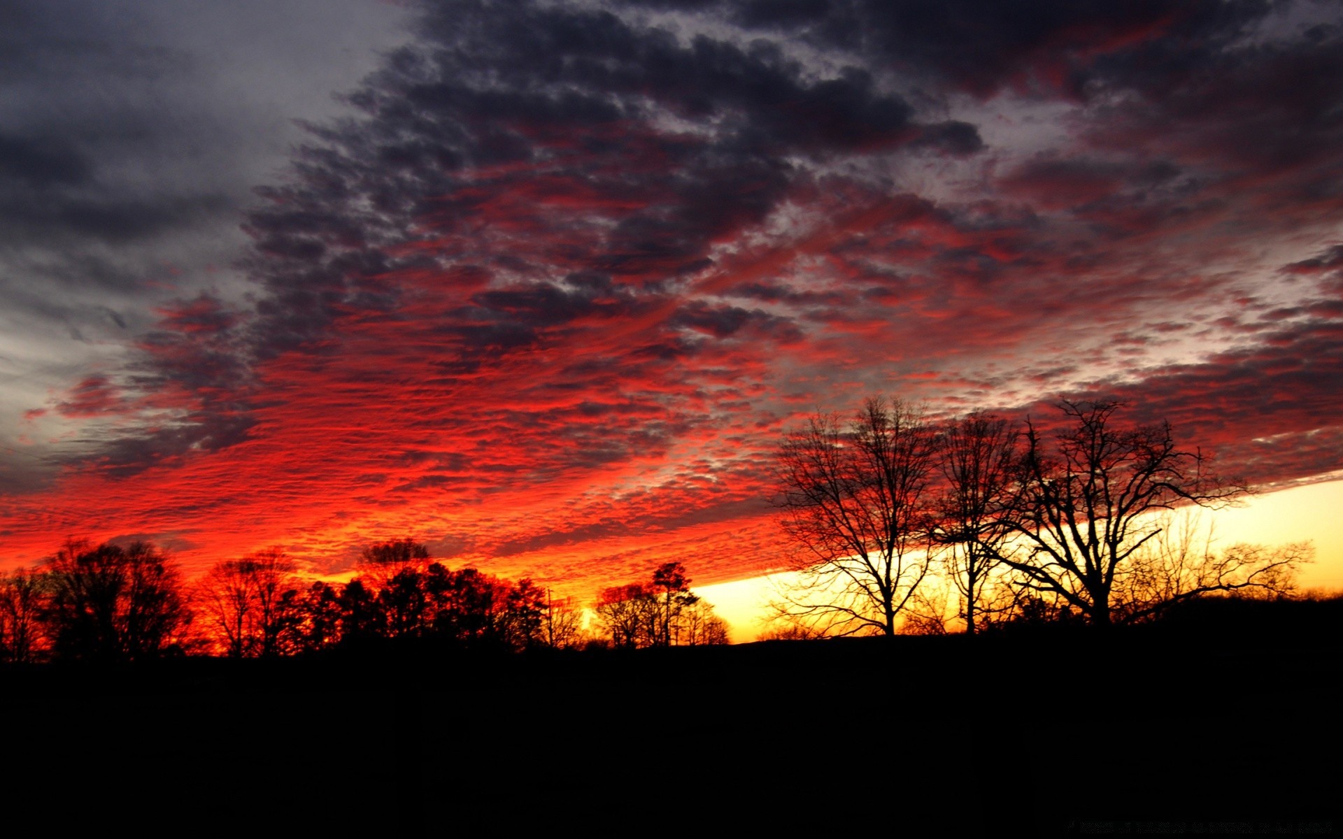 the sky sunset evening dawn landscape light sun sky dusk silhouette nature weather backlit outdoors tree