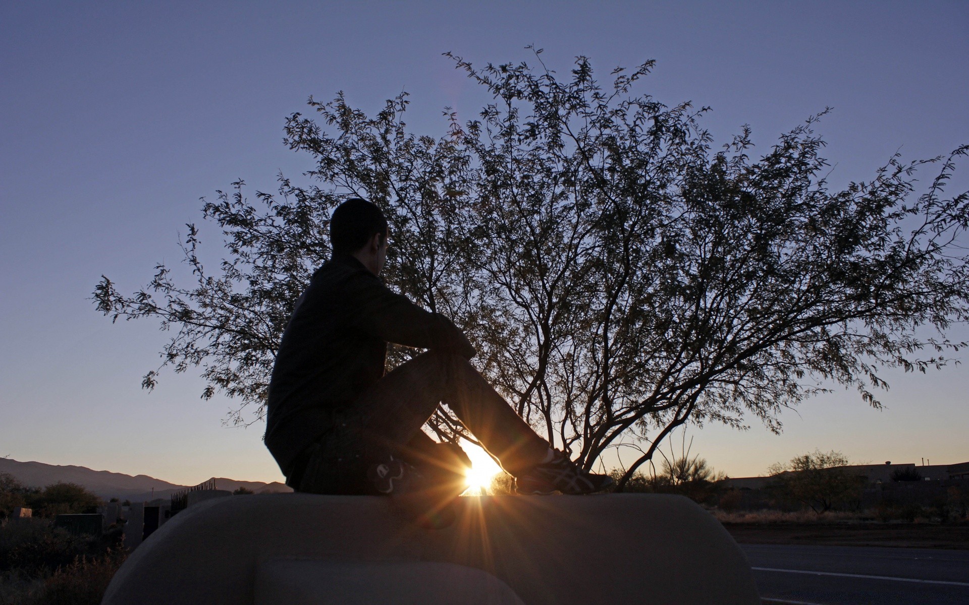 the sky sunset backlit landscape sky dawn evening one tree dusk travel sun outdoors silhouette light adult daylight man fair weather nature