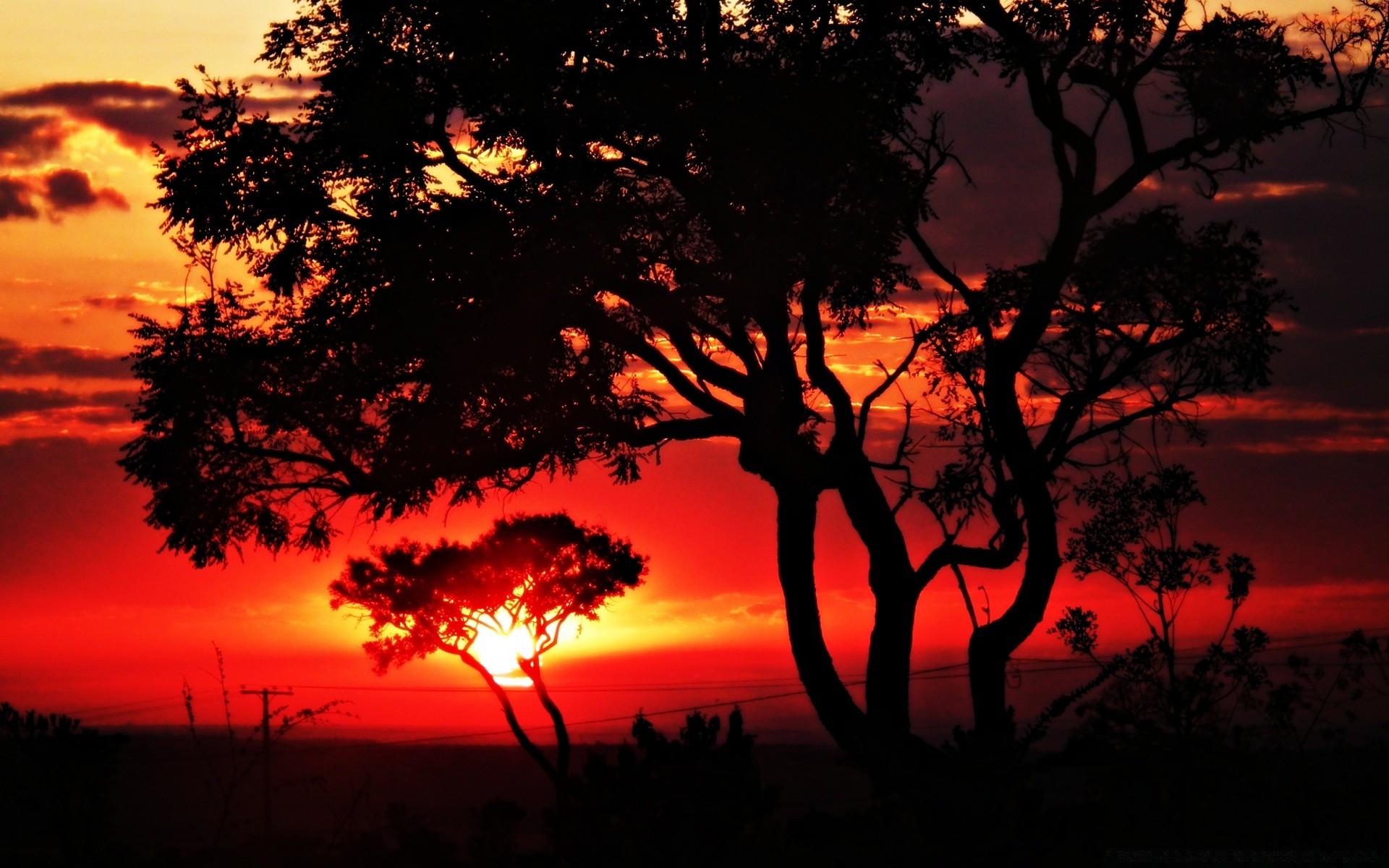 cielo illuminato tramonto albero silhouette sera alba crepuscolo paesaggio sole all aperto natura cielo