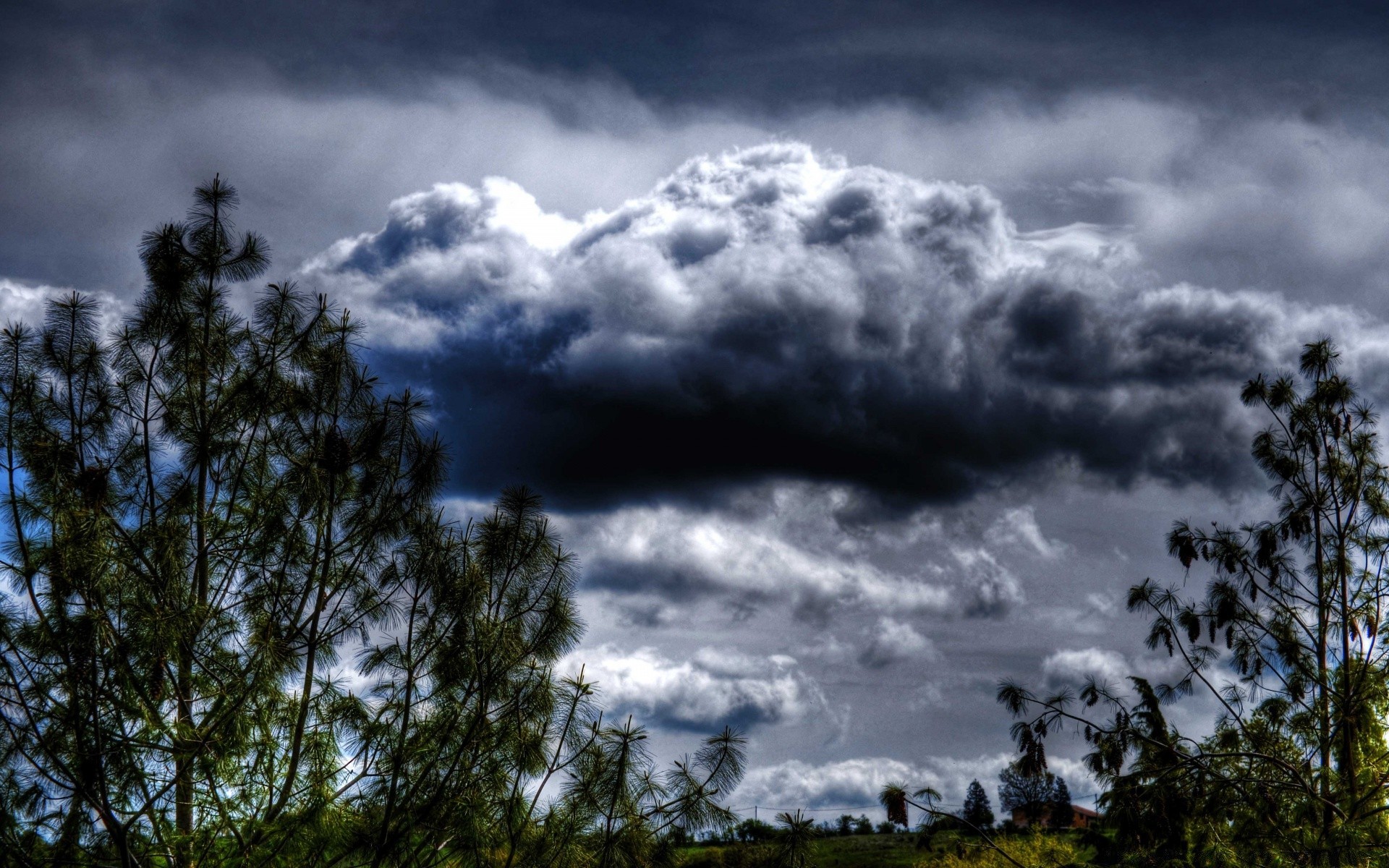 cielo naturaleza cielo paisaje nube tormenta árbol tiempo luz sol al aire libre lluvia buen tiempo verano nublado dramático escénico puesta de sol madera hermoso