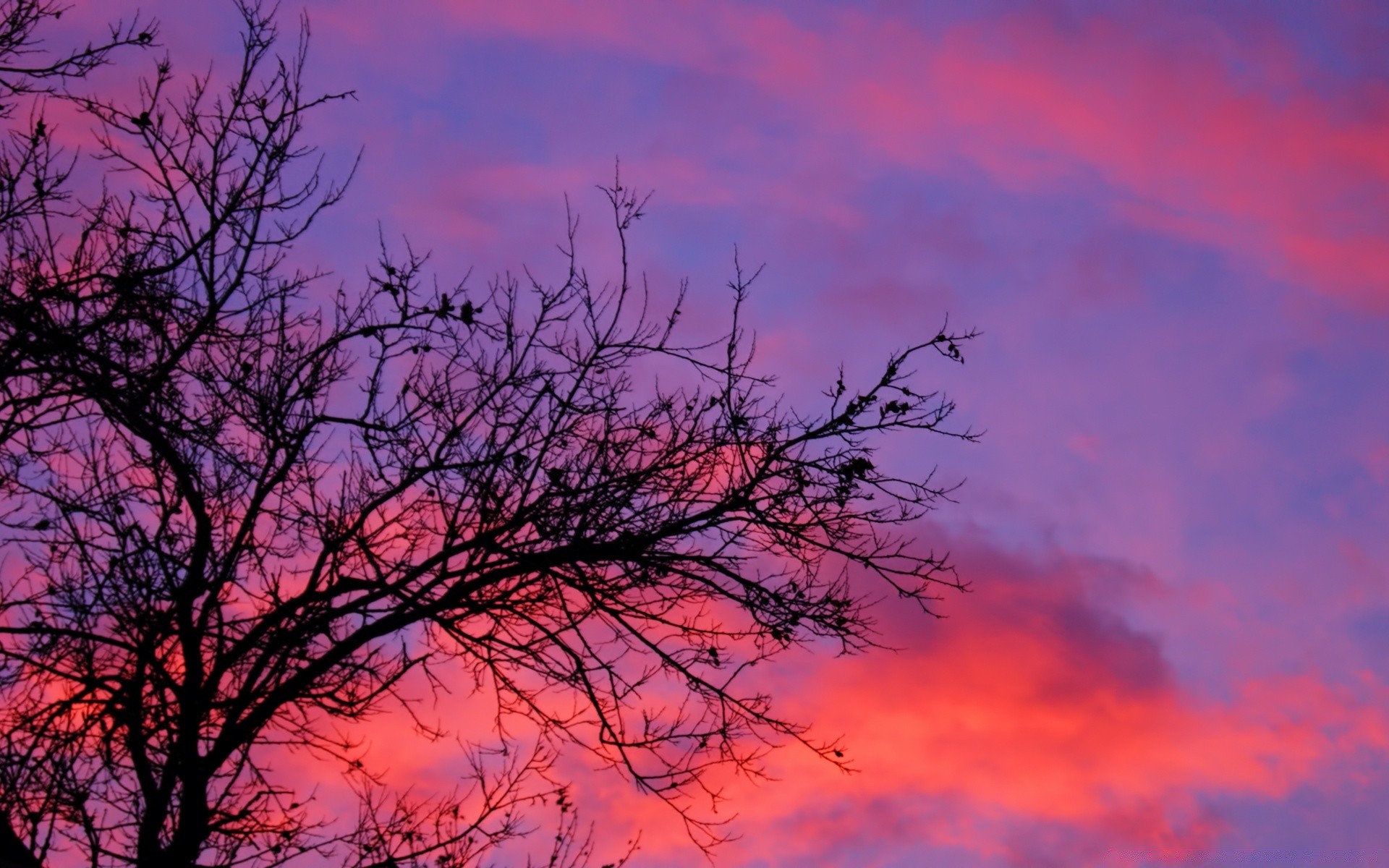 the sky landscape dawn nature sky tree sunset silhouette sun evening weather outdoors bright dusk scenic backlit fair weather fall desktop wood