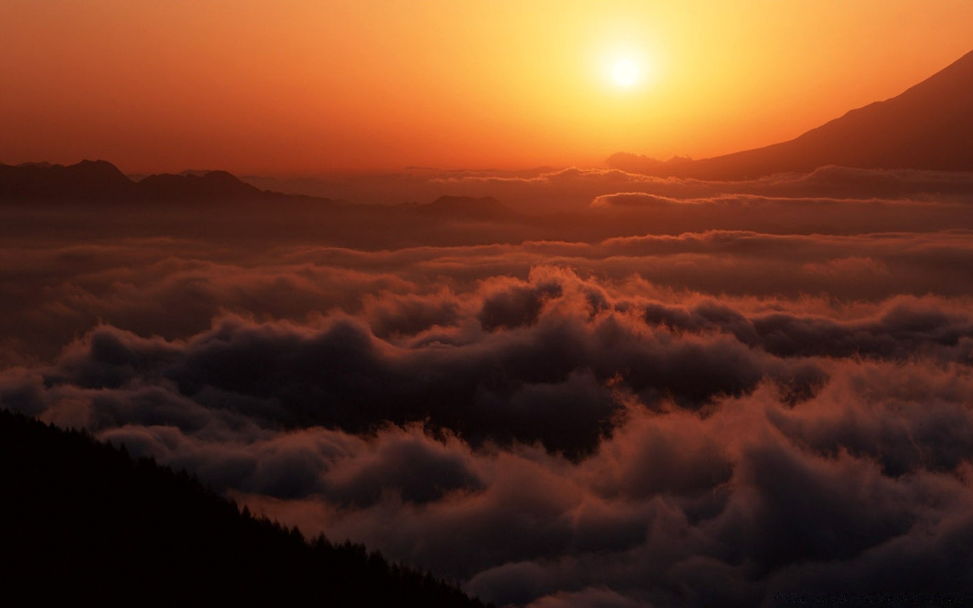 天空 日落 黎明 傍晚 黄昏 太阳 照亮 天空 剪影 好天气 户外 景观