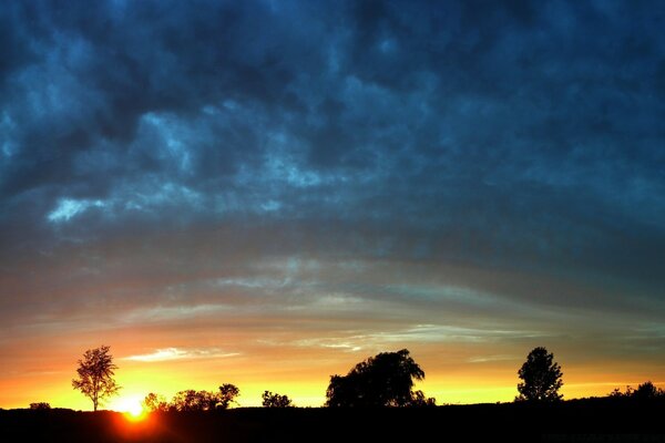 Beautiful orange sunset, nature