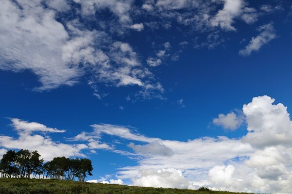 Grüne Bäume, weiße Wolken und blauer Himmel