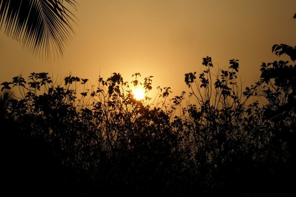 Schöner Sonnenuntergang am Abend