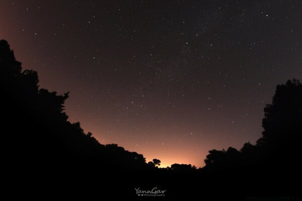 Cielo estrellado en el crepúsculo del bosque encantado