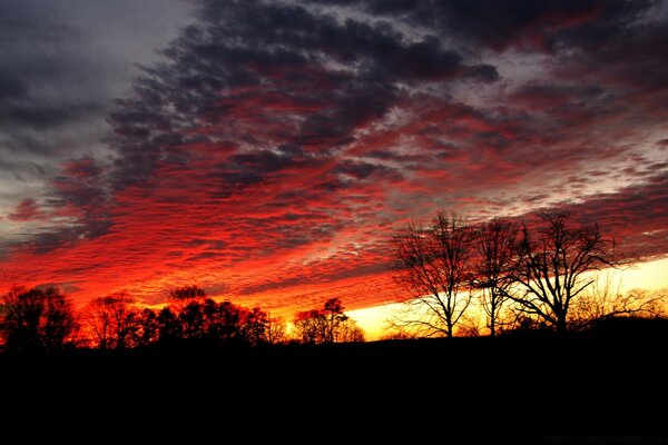 Abendlicher scharlachroter, scharlachroter Sonnenuntergang