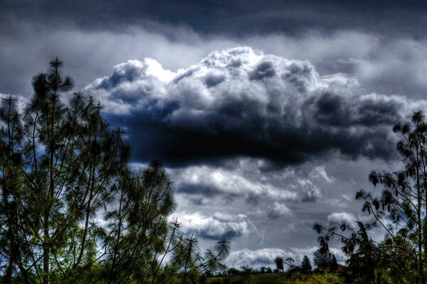 Fuertes tormentas nubosas sobre el bosque