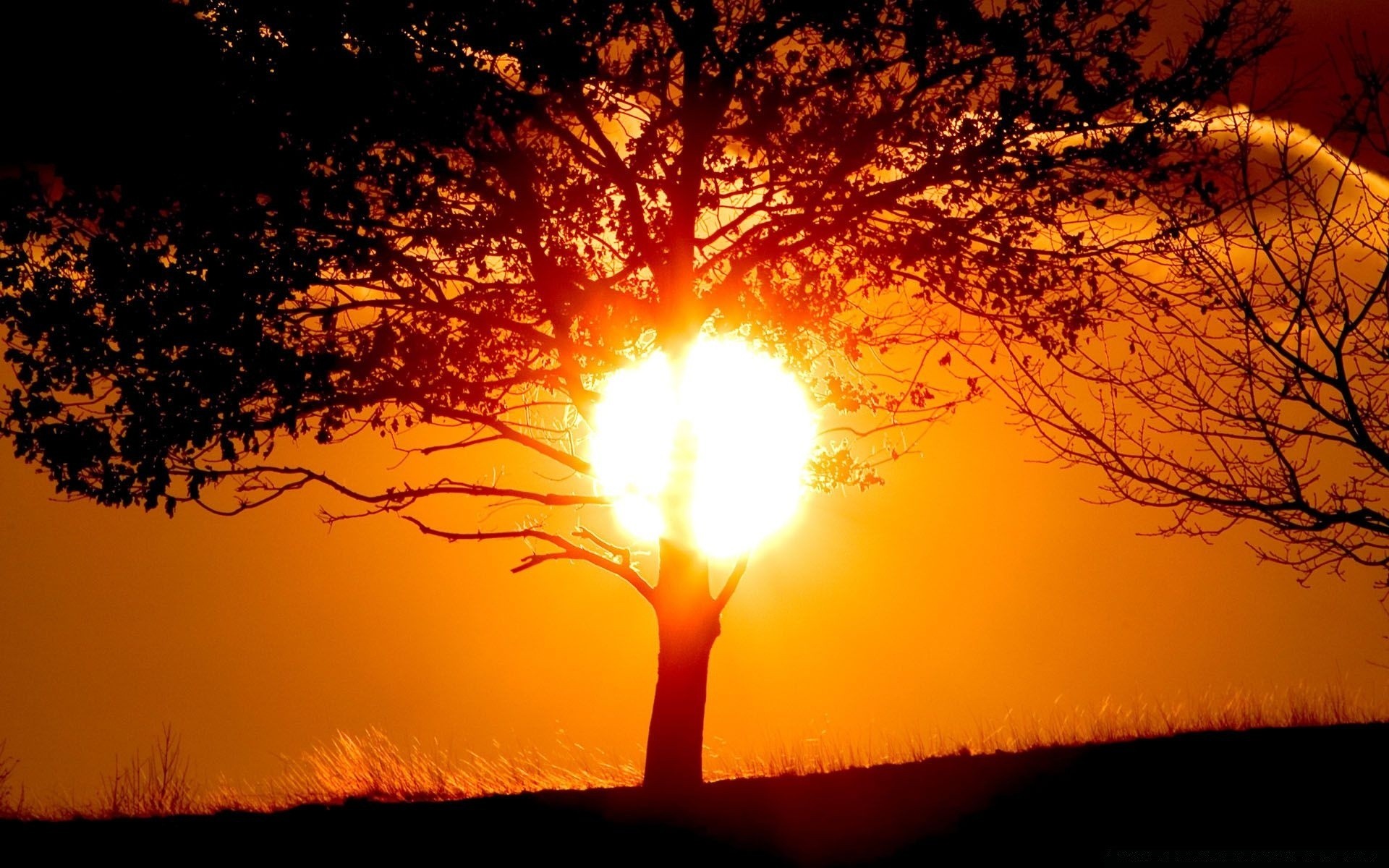 the sky sunset dawn sun evening silhouette dusk backlit nature landscape fair weather sky light tree bright