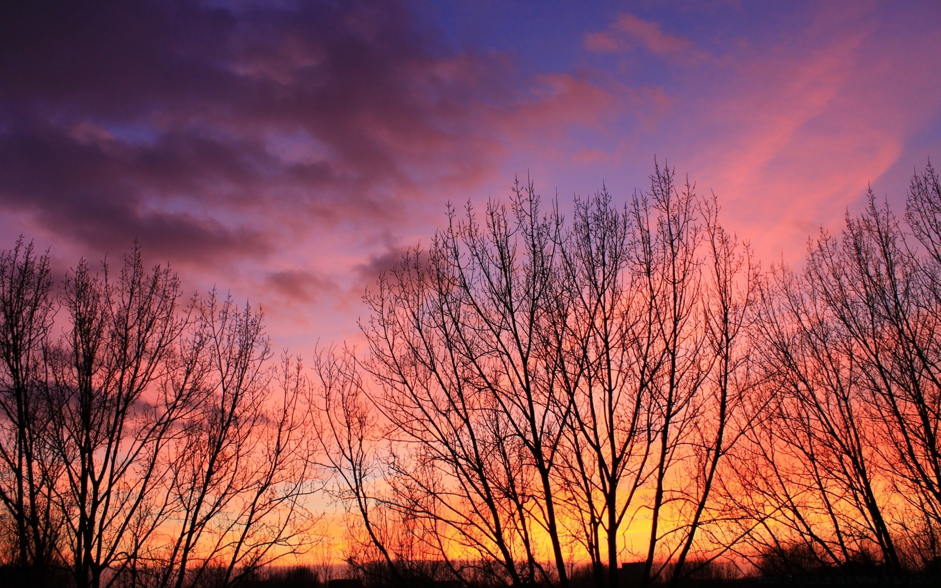 cielo amanecer árbol paisaje naturaleza puesta de sol otoño sol noche madera tiempo cielo buen tiempo niebla iluminado campo al aire libre