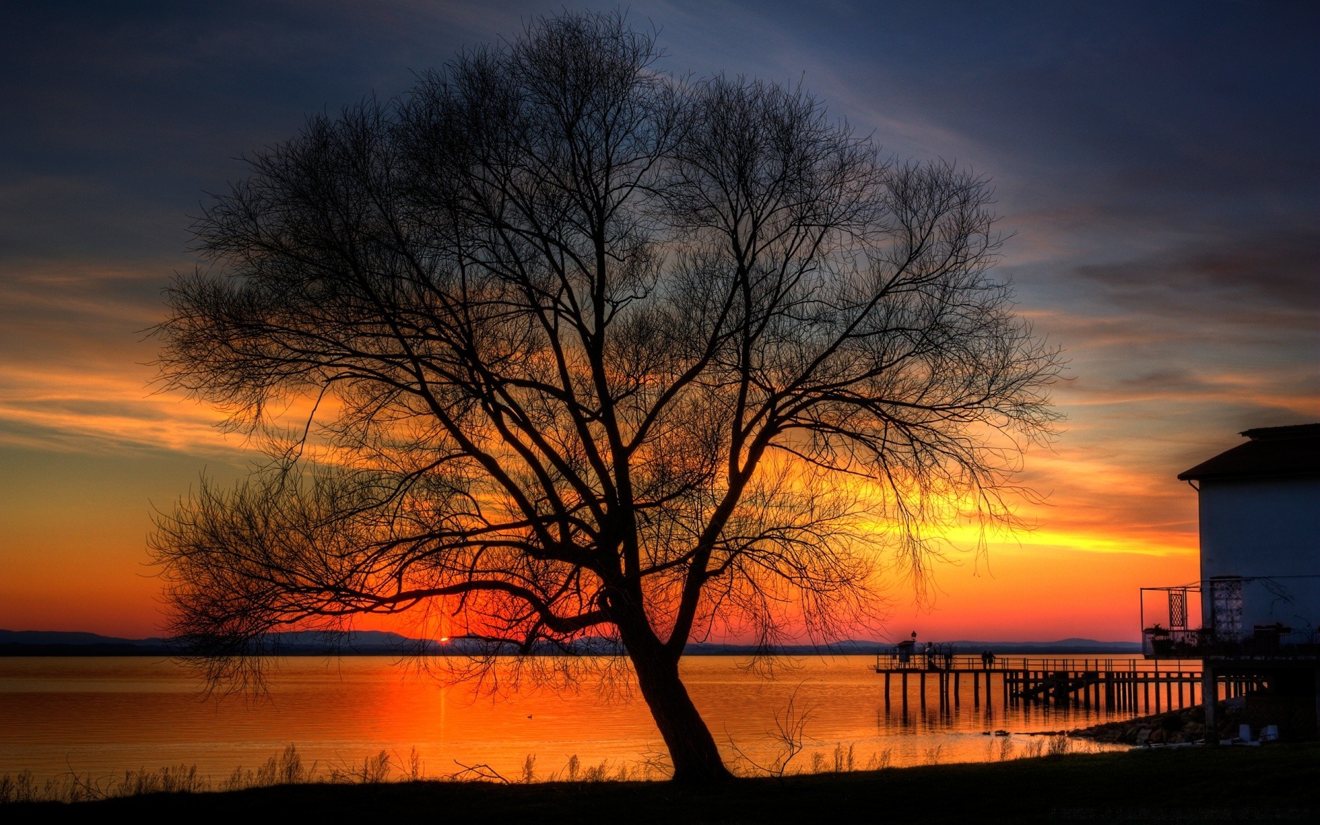 the sky dawn sunset tree landscape sun silhouette evening water nature lake dusk light sky reflection fall backlit